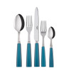 Sabre Paris Icone (a.k.a. Natura) 5-piece Place Setting