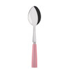 Sabre Paris Icone (a.k.a. Natura) Serving Spoon