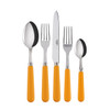 Sabre Paris Pop Unis (a.k.a. Basic) 5-piece Place Setting