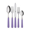 Sabre Paris Pop Unis (a.k.a. Basic) 5-piece Place Setting