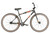 HARO PISTOL 29" Grey