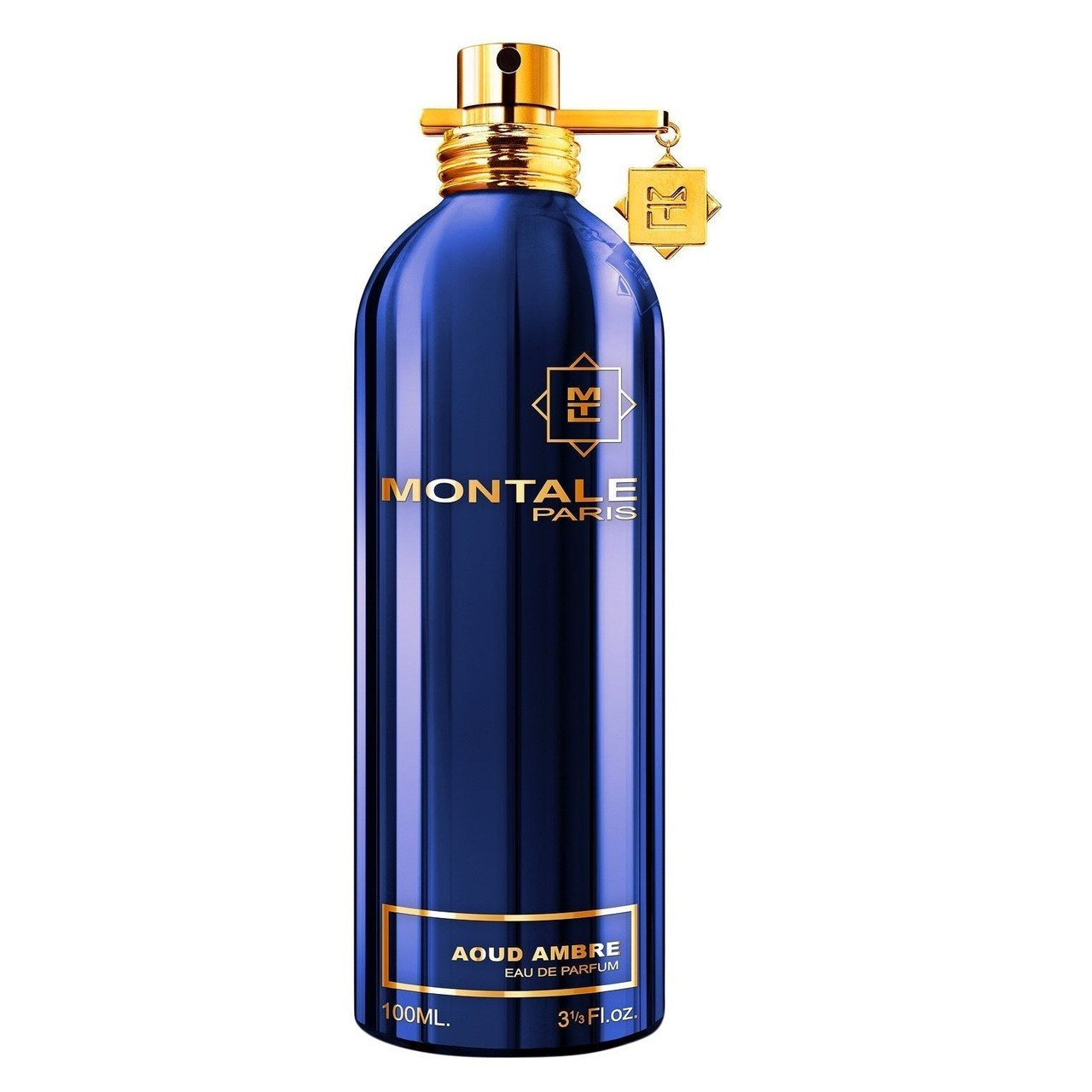 Montale Aoud Ambre Eau De Parfum 100ml Spray