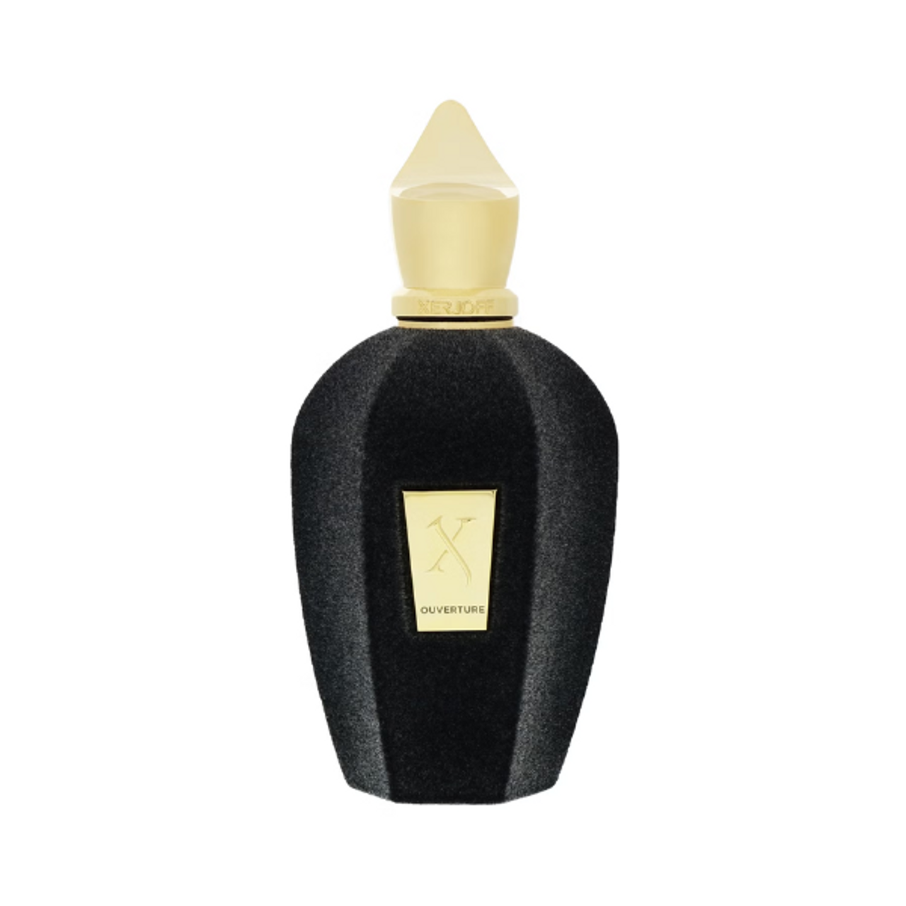 Xerjoff V Collection Ouverture Eau De Parfum Spray 100ml