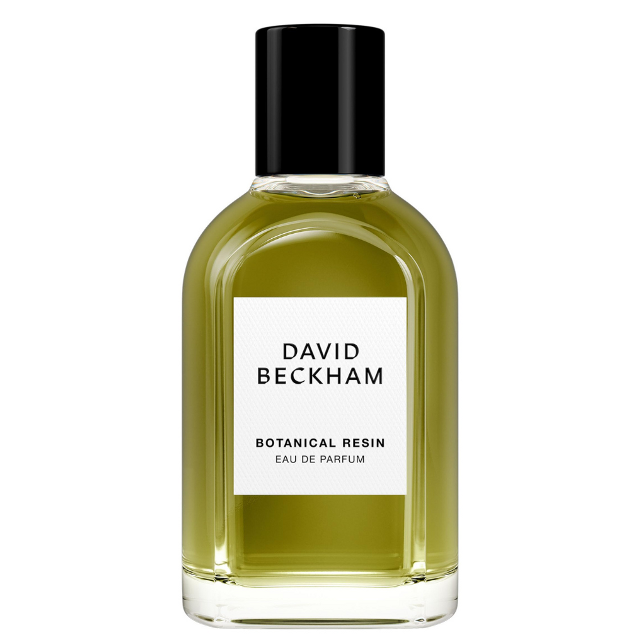 David Beckham Botanical Resin Eau De Parfum Spray 100ml