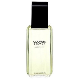 Antonio Puig Quorum Silver Eau de Toilette Spray 100 ml - LookincredibleAntonio Puig8411061582350