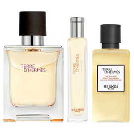 Hermes Terre D'hermes Gift Set 100ml EDT + 15ml EDT + 40ml Body Shower Gel