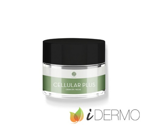Segle clinical cellular plus crema Segle clinical cellular plus crema