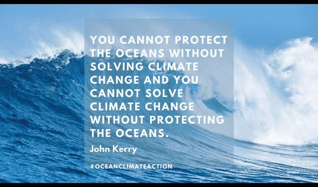 COP27, Climate Change & the Ocean - beachgoods.com