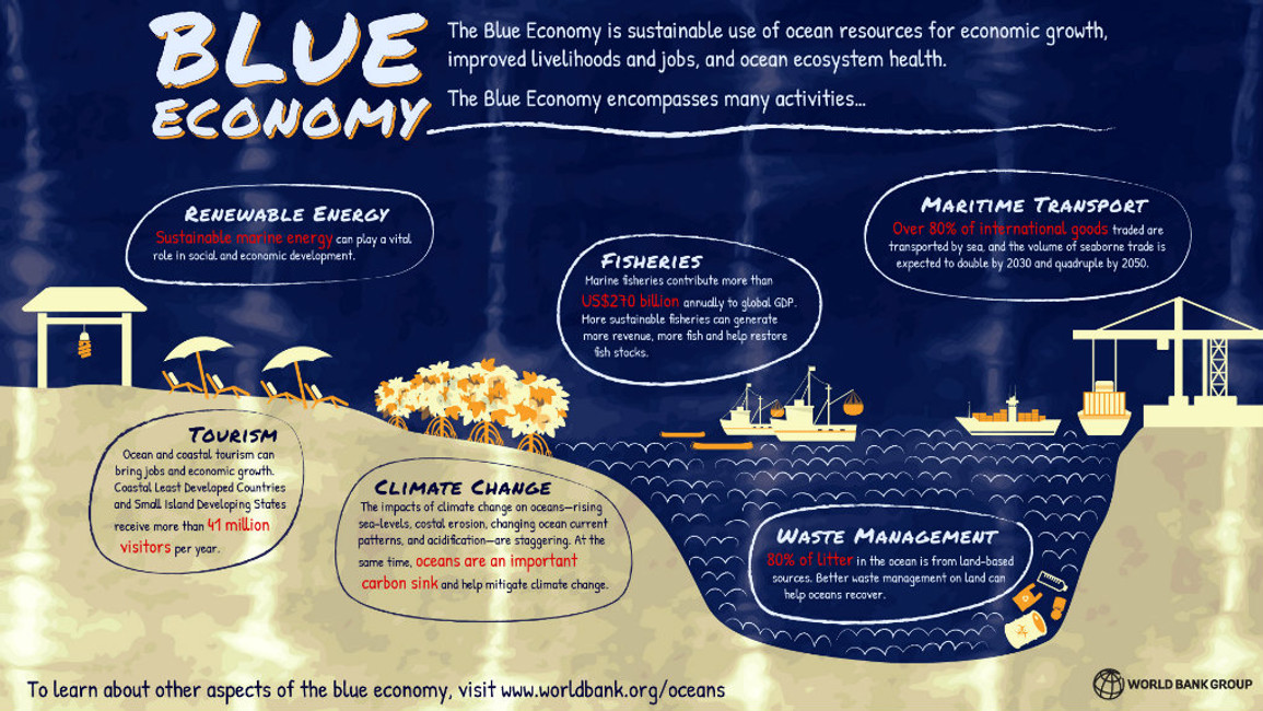 The Blue Economy