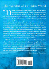 Book Seaweed Chronicles: A World at the Water's Edge