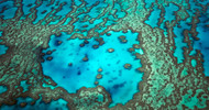 Ocean Conservation, Education & Science Nonprofits: Meet the Partners We Support