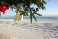 Happy Holidays!