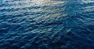 World Ocean Day: The Ocean Story Behind beachgoods.com
