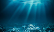 Our Ocean