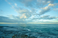 World Oceans Day