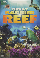 DVD The Great Barrier Reef