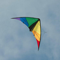 In the Breeze Colorwave Sport Kite 48