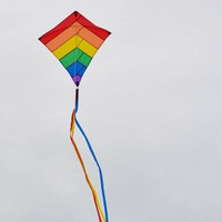 In the Breeze Diamond Kite 30 (Rainbow Overlay)