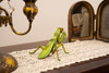 Giant Praying Mantis 3D Kraft Paper Puzzle Giant Praying Mantis 3D Kraft Paper Puzzle