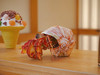 Make Bug Hermit Crab 3D Puzzle, Bring Nature Home MKBB0008