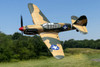 Curtiss P-40 Warhawk Micro RTF Airplane w/PASS Curtiss P-40 Warhawk Micro RTF Airplane w/PASS