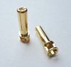 TQ Wire 5mm Male Bullets Window Top (pr.) Gold 21mm TQW2508