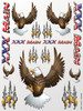 XXX Main Racing Eagles Sticker Sheet XXXS010