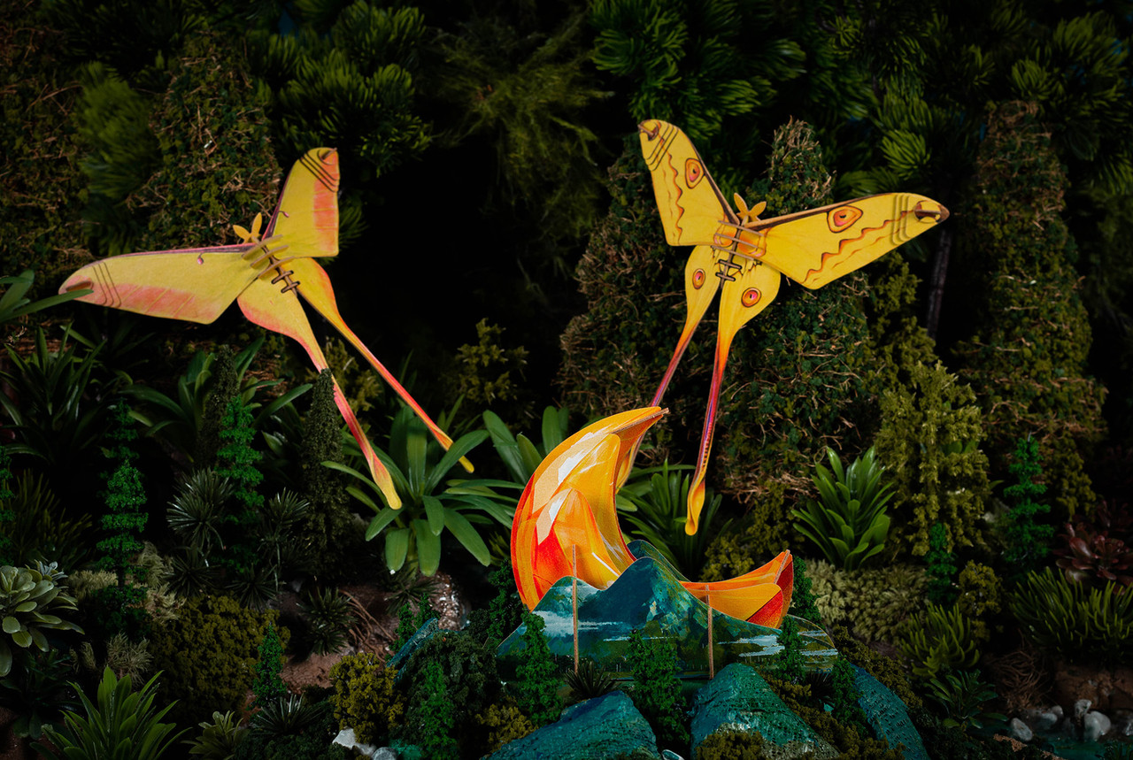 Actias Moth 3D Puzzle, Bring Nature Home Actias Moth 3D Puzzle, Bring Nature Home