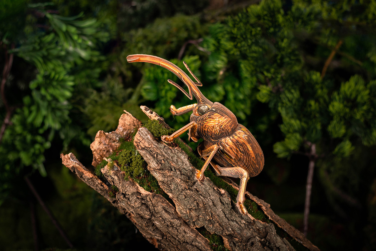 Weevil 3D Puzzle, Bring Nature Home