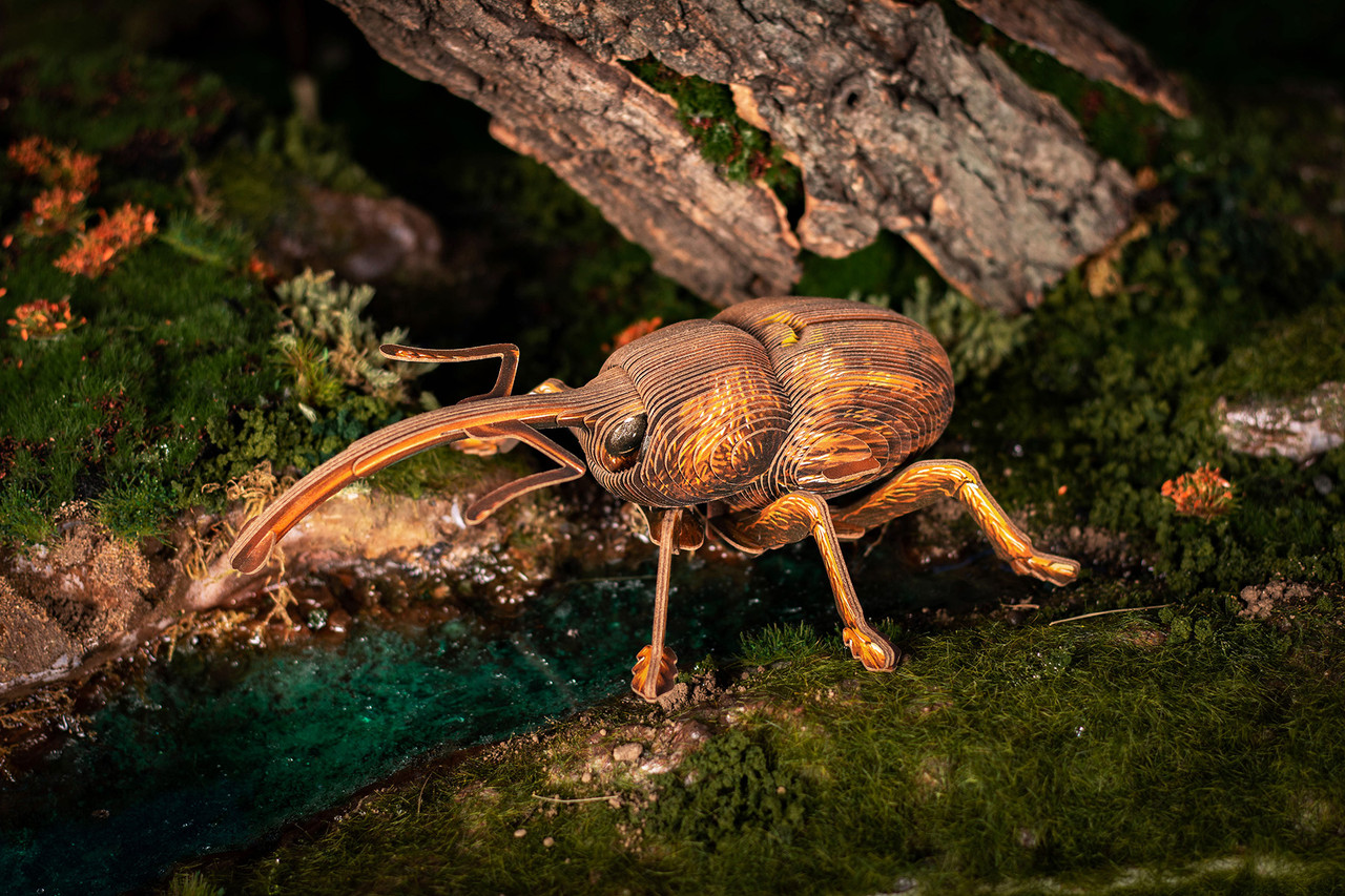 Weevil 3D Puzzle, Bring Nature Home