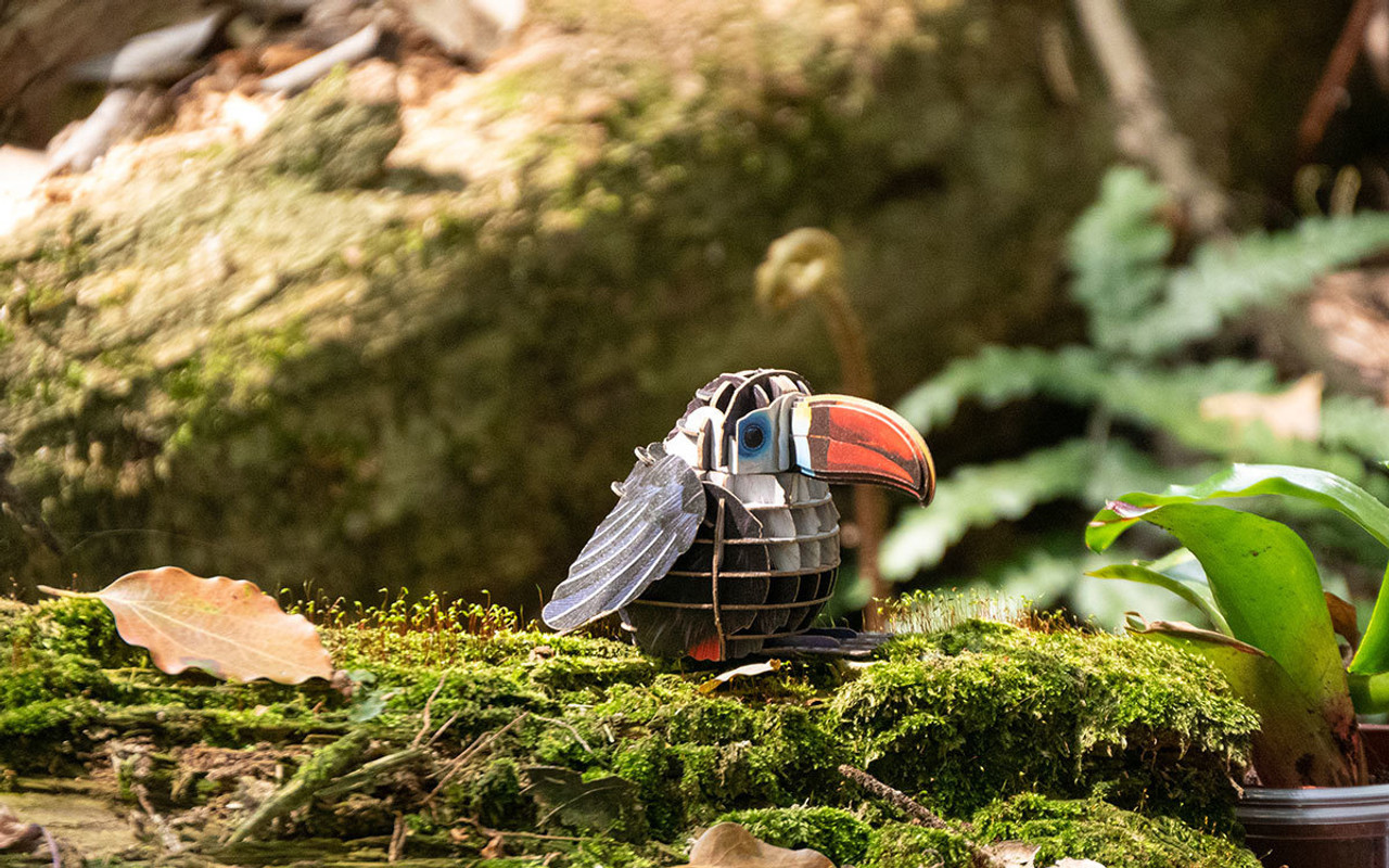 Voices of Nature, Red-Billed Toucan Voices of Nature, Red-Billed Toucan