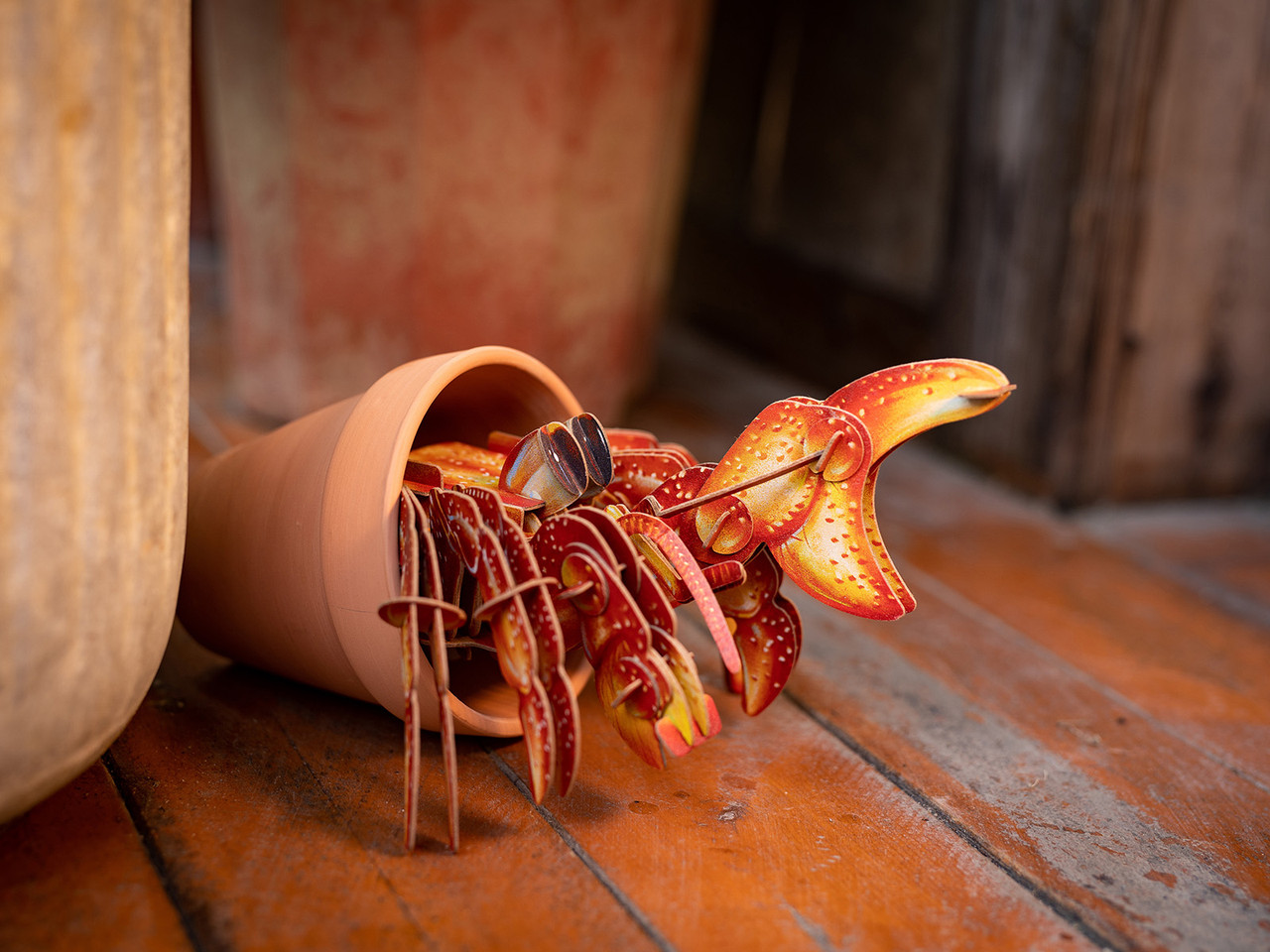 Hermit Crab 3D Puzzle, Bring Nature Home Hermit Crab 3D Puzzle, Bring Nature Home