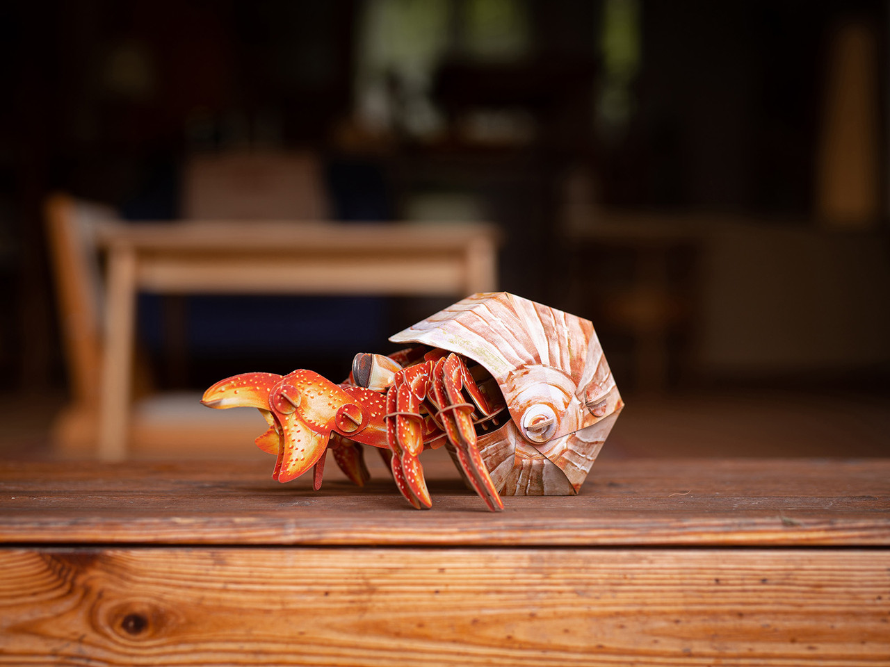 Hermit Crab 3D Puzzle, Bring Nature Home Hermit Crab 3D Puzzle, Bring Nature Home