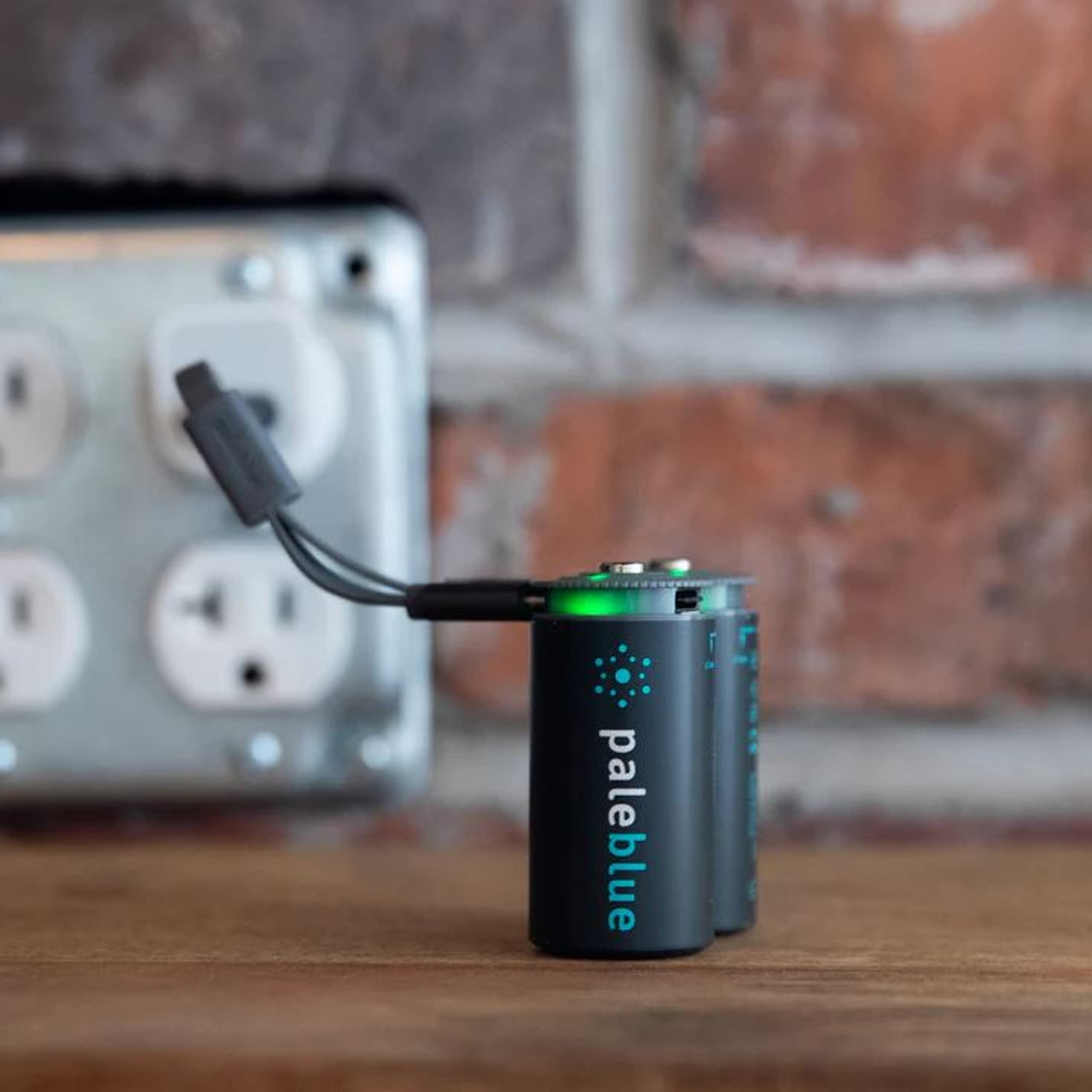 Pale Blue Lithium Ion Rechargeable C Batteries 2pk Pale Blue Lithium Ion Rechargeable C Batteries 2pk