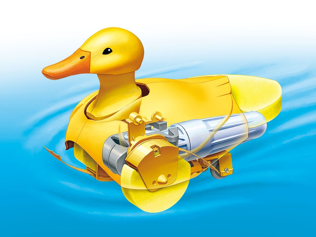 Walking and Swimming Duck, Yellow Walking and Swimming Duck, Yellow