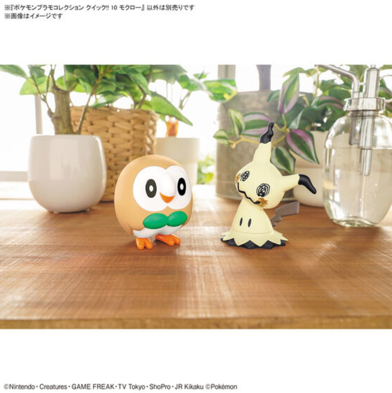 #10 Rowlet "Pokemon" Bandai Spirits Pokemon Model #10 Rowlet "Pokemon" Bandai Spirits Pokemon Model