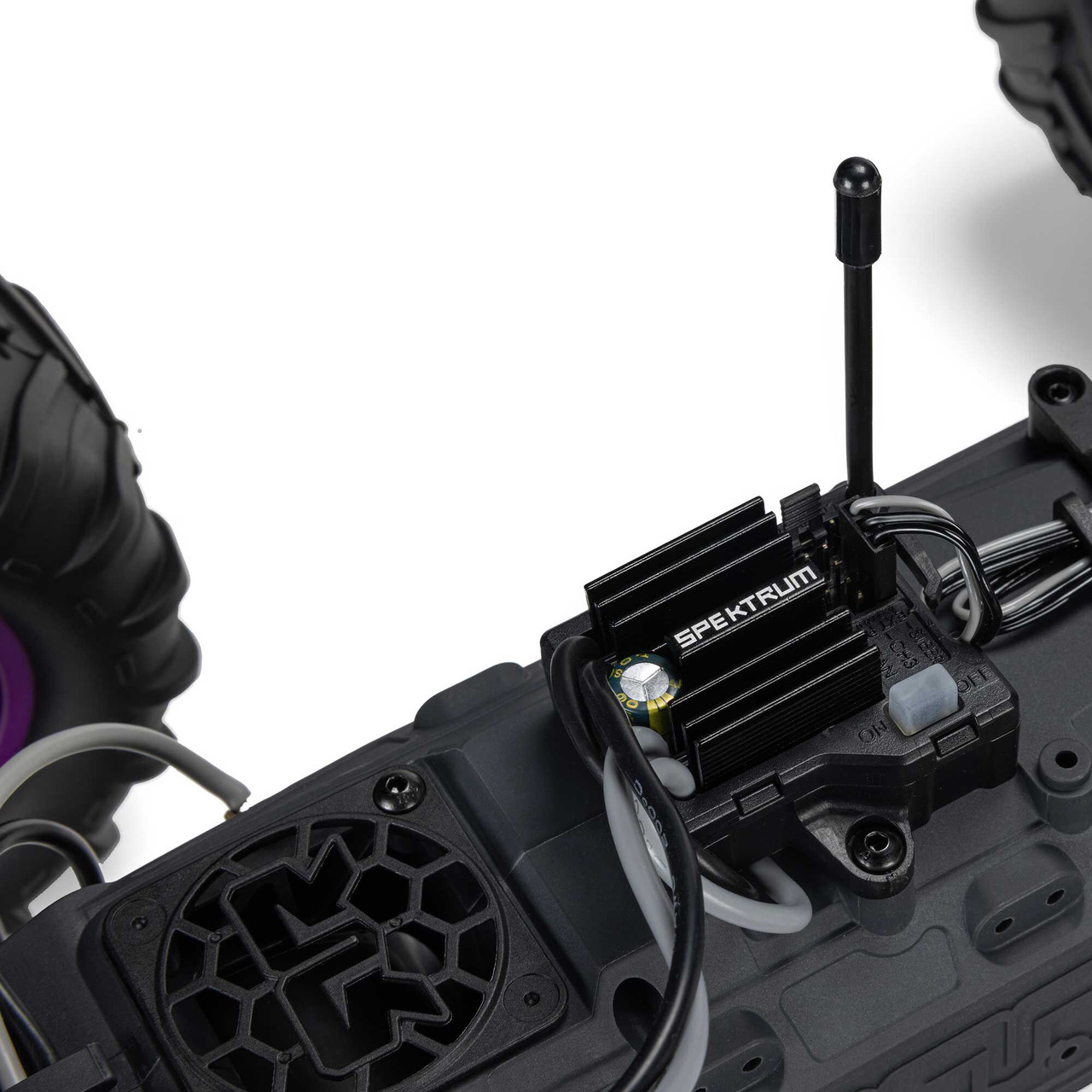 1/10 GORGON 2WD RTR Brushed Monster Truck (Battery & Charger Included), Purple