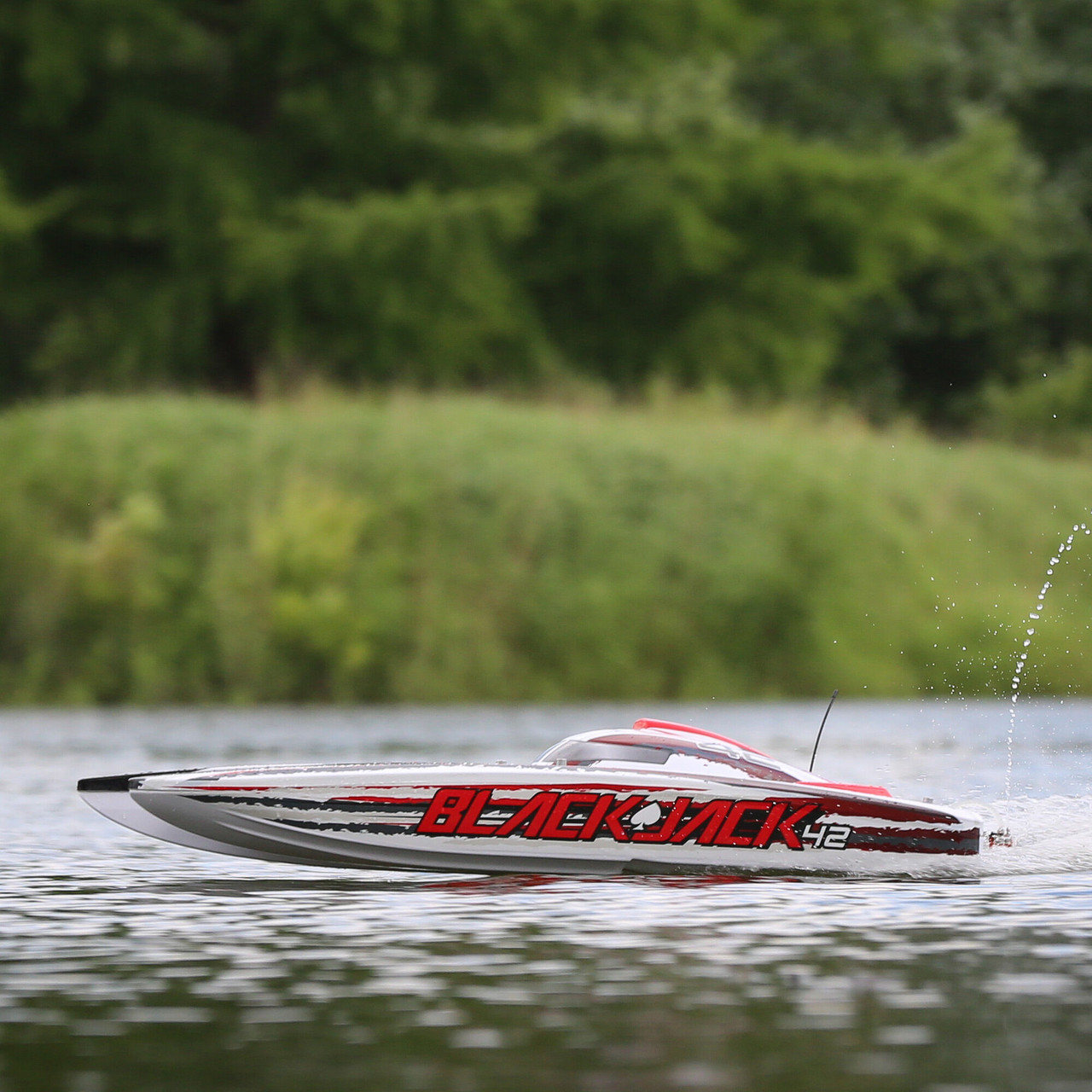 Blackjack 42" 8S Brushless Catamaran RTR, White/Red