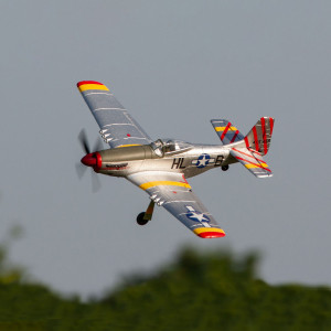 Rage R/C P-51D BL 500mm RFT (Rage) Warbird RGRA1601