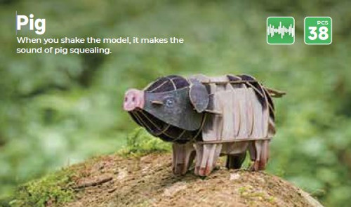 Voices of Nature, Pig Voices of Nature, Pig