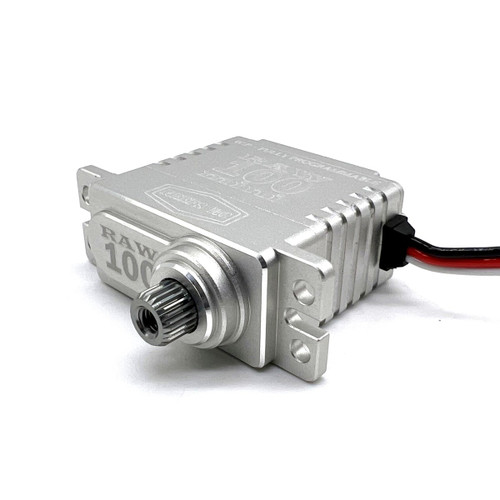 Reef's RC - RAW 100 Mini Servo Programmable Reef's RC - RAW 100 Mini Servo Programmable