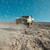 1/10 SENTON 223S DSC 4X4 RTR Brushless Short Course Truck, Yellow