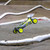 1/10 22X-4 2.0 DC 4WD Buggy Race Kit