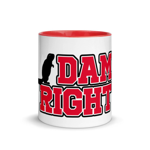 Dam Right Mug