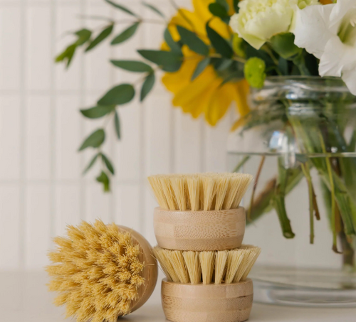 "Forever Brush" Replacement Heads