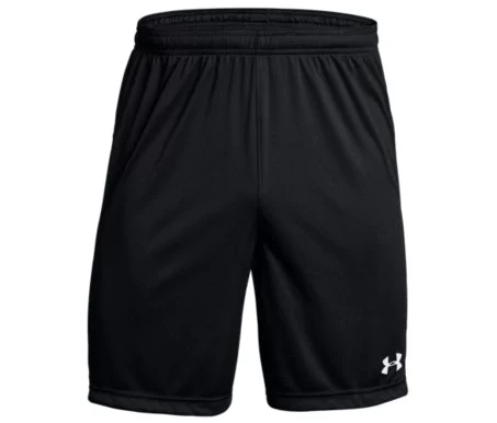 ua mens shorts