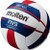 Molten V5B5000 FIVB Approved Beach Volleyball 