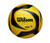 Wilson AVP ARX Game Ball