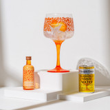 Silent Pool Rare Citrus G&T Pack