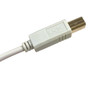 6 Feet USB 2.0 USB-A to USB-B M/M Cable